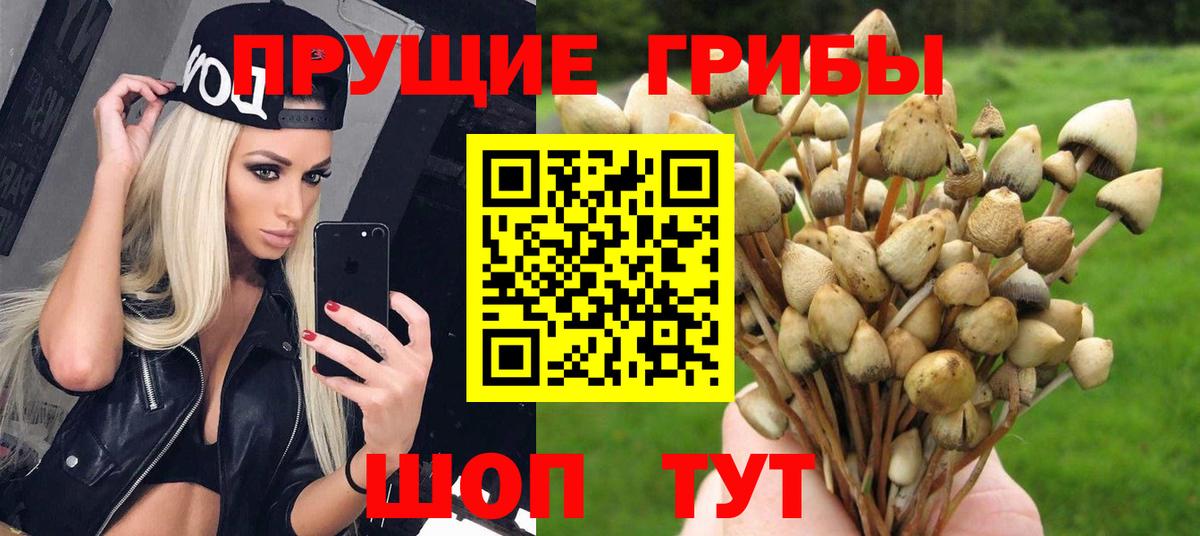 Каменск-Уральский  Вход с VPN  Меф кристаллы  MDMA  Канабис  Меф  COCAIN 
