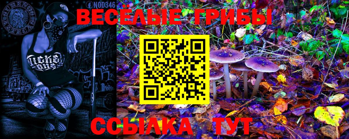 Каменск-Уральский  сколько стоит  Вход с VPN  Галлюциногенные грибы прущие грибы 